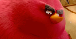 angry birds,angry,birds,angry birds movie