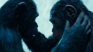 planet of the apes,war for the planet of the apes,ceasar