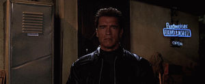 terminator 3 rise of the machines,comedy,arnold schwarzenegger,terminator,terminator 3,hide and queue