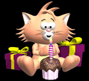 birthday,cat,cake,cupcake