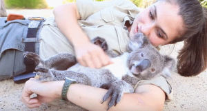 belly,koala,rubs
