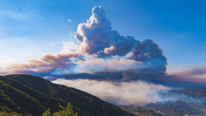 clouds,nature,fire,rey,formed,pyrocumulus