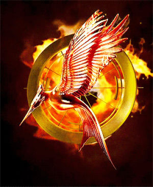 mockingjay,catching fire,cf,the hunger games,thg,hg,fythgedit