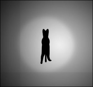 optical illusion,spinning cat,kitty,optical illusion kitty