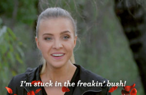 Gif The Bachelor Thebachelorau Animated Gif On Gifer By Opidora