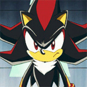 shadow the hedgehog,chillidoghedgehog,sonic,sonic x,windiis edits,the only bae that matters,flawless bae,what an awesome bae