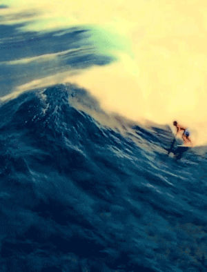 surfing,vertical,fiji