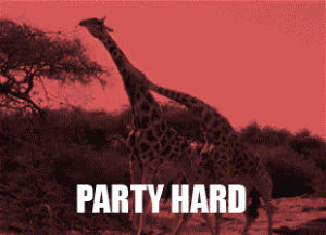 giraffe,party,hard