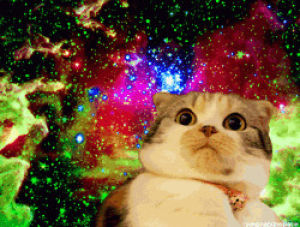 nebula,space cat,tumblr cat,space,pizza,cat space,cat pizza