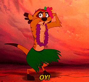 timon,the lion king,photo,oy,disney characters