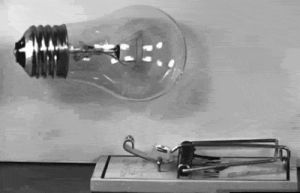 physics,lightbulb,v,mousetrap