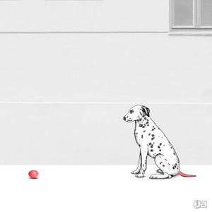 bounce,animation,art,dog,fun,illustration,animal,ball,colours