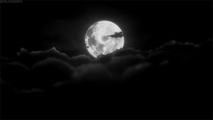 moon,moonlight,full moon,moon in scorpio,moon tides,moon knight,moon night,moon shine,moon light,moon of my life,moon kingdom,moon love,i love the moon,moon magic,beautiful moon,moon legacy,moon rocks
