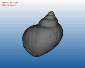 3d,science,model,tech,online,download,database,fossil,prosthetic knowledge