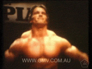 Pecs Muscle Gif Find On Gifer