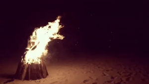 beach,bonfire