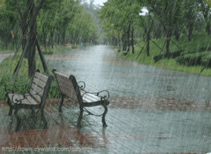 rainfall,rainy,park,bench,benches