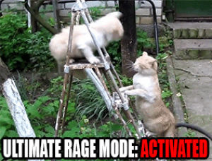rage,ultimate,mode