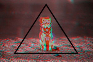 wolf,triangle,3d,wolves