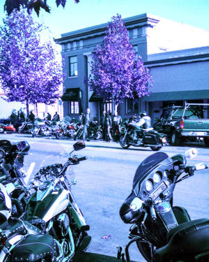 jon moxley,film,purple,motorcycle,35mm,nimslo,wigglegram,lomography,lomochrome,wwe