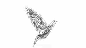 flying,bird,wings,animals,black and white,drawing,sketch