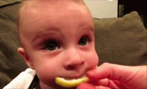 baby,eating,aww,lemon