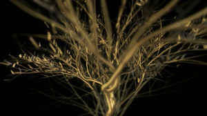 particles,gold,root,vj loops,tree,visuals,video loops