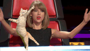 tv,music,dance,taylor swift,cats,nbc,the voice,celeb,knockouts