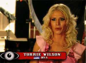 torrie wilson,wwe divas,playboy,heart container,wwe,this isnt even my final form