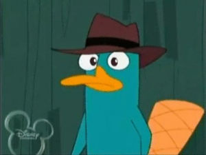 perry the platypus,phineas and ferb,agent p,disney,deal with it,sunglasses,perry,disney channel