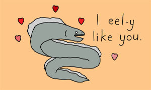 eel,love,valentine,valentines day,flirting,swipe right,yippywhippy