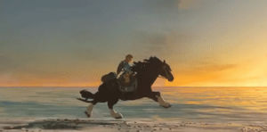 beach,horse,running,zelda,breath of the wild,gallop,galloping