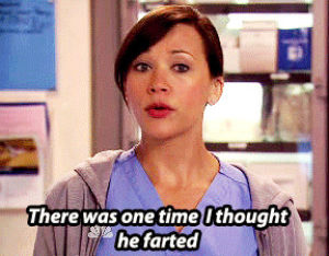 parks and recreation,ann perkins