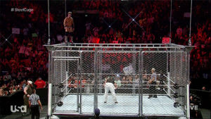 crazy,jump,top,big,chris,off,lead,cage,steel,jericho,cabin fever,wyatt,bray,land