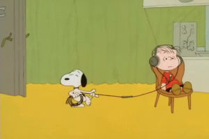 snoopy,youre not elected charlie brown,peanuts