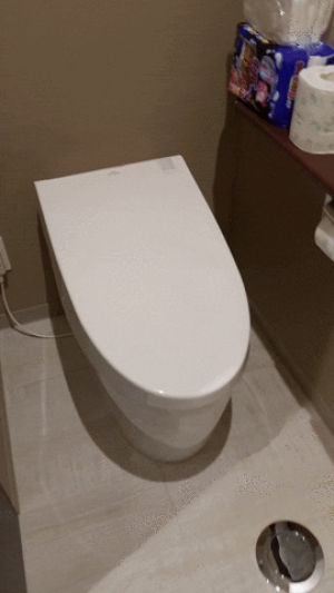 technology,toilet,almost