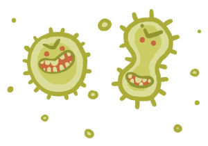bacteria,microbiology,science,gross