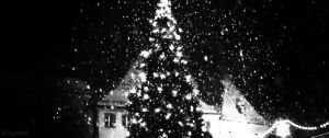 christmas tree,christmas,snow,snowing,jesuis