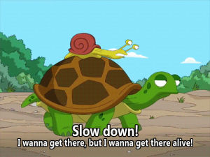 turtle,slow,family guy,alive,snail