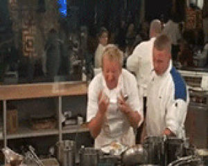 GIF gordon ramsey - animated GIF on GIFER