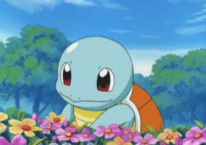 squirtle,tv,animation,anime,movie,movies,pokemon,show,graphics,graphic,media,shows