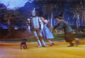 scarecrow,tin man,wizard of oz,dorothy,judy garland,cowardly lion,ray bolger,bert lahr,frank morgan,dopest quotes