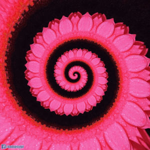 psychedelic,loop,endless,visual,spiral,trippy,pink,flower,zoom