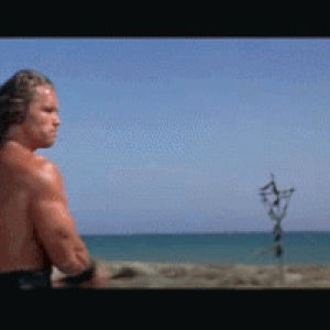 Arnold Schwarzenegger Conan The Barbarian Gif Find On Gifer