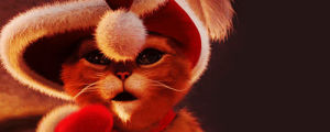 christmas,cat,disney,cute,animal,kitten,shrek,christmas animals,animal christmas,puss n boots
