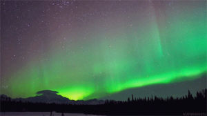 aurora,space,photo,fanpop,aurora borealis,borealis
