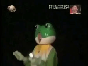 japan,frog,television,crying,sad,travel