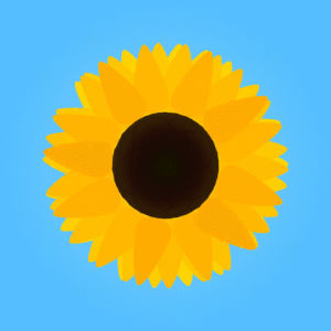 sunflower,sun,summer,sunny,flower,blooming,breezy,warm,flower girl,flowery