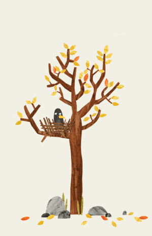 illustration,nest,animation,cute,bird,book,bear,story,sleepy,crow,storybook,paperpanther,clivemcfarland