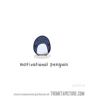 study,motivation,penguin